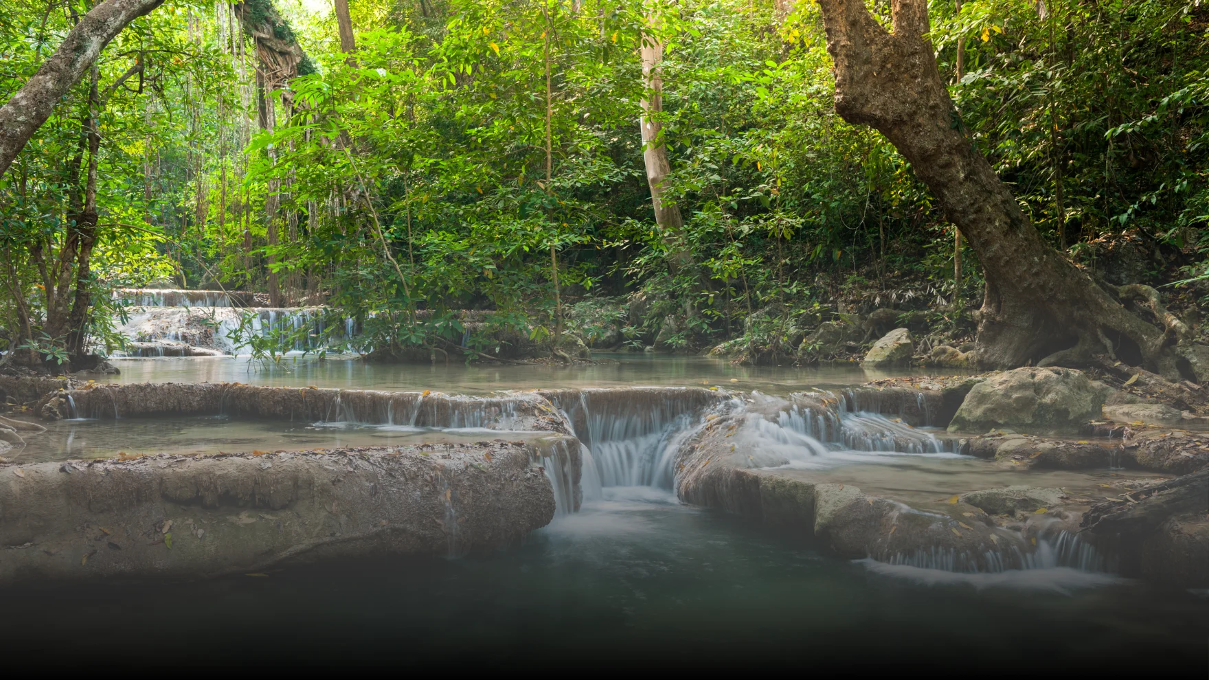 Kerela Tour Packages Kerela Tour Packages