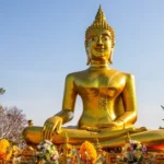 phuket pattaya tour package - Imity Travels