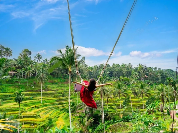 bali tour package - Imity Travels