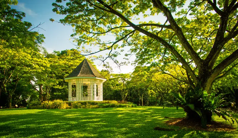 Must visit places in Singapore