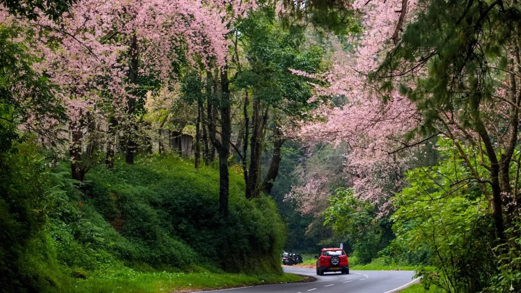 Best time to visit Meghalaya