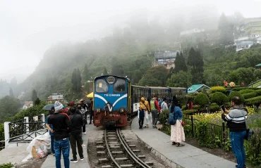 darjeeling lamahatta tour package