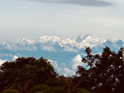 Bangkok Pattaya | Complementary Coral Island Trip