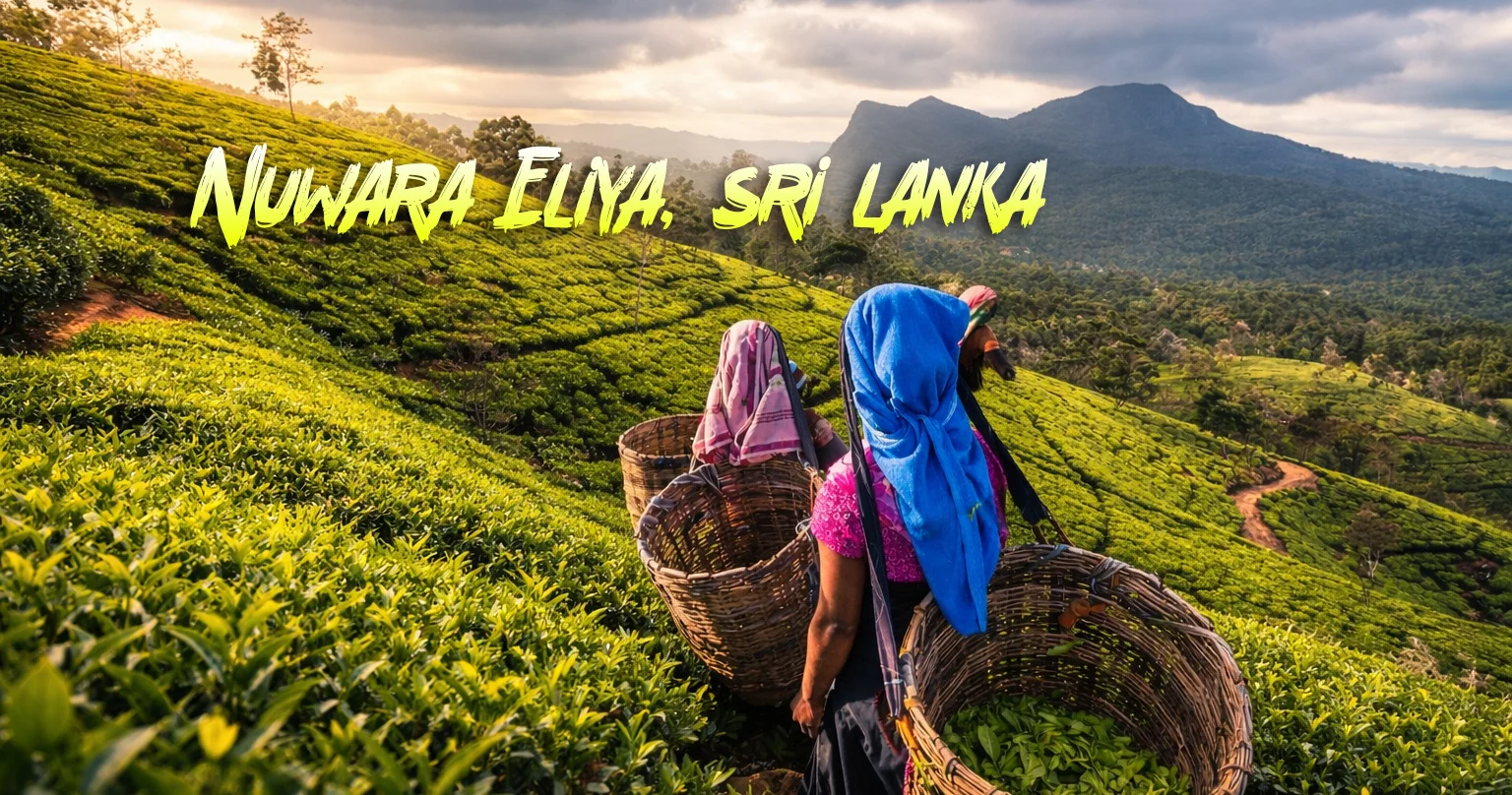 Sri Lanka tour package from India