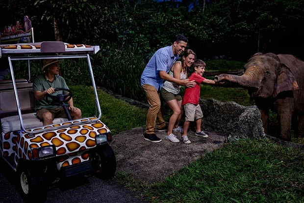 Bangkok Pattaya | Complementary Coral Island Trip