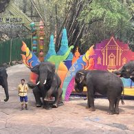 bangkok-pattaya-sanjeet2 Bangkok Pattaya tour package