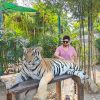 bangkok-pattaya6 Bangkok Pattaya tour package