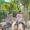 bangkok-pattaya6 Bangkok Pattaya tour package