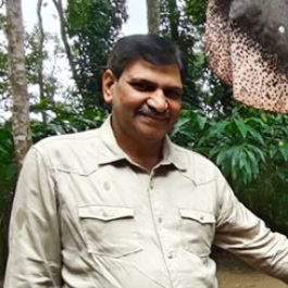 kerala tour package 4 nights 5 days